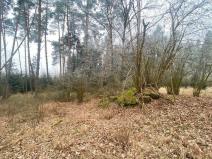 Prodej pole, Slatina, 10514 m2