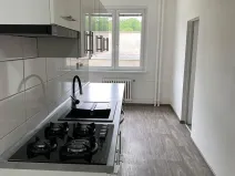Pronájem bytu 2+1, Litvínov, Mostecká, 63 m2