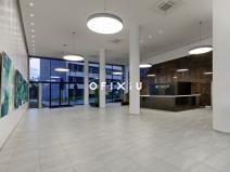Pronájem kanceláře, Brno - Staré Brno, Nové sady, 300 m2