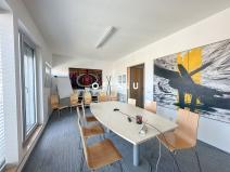 Pronájem bytu 4+1, Brno, Milady Horákové, 140 m2