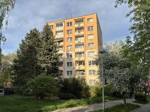 Pronájem bytu 2+1, Děčín, Školní, 51 m2