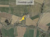 Prodej pole, Habry, 1706 m2