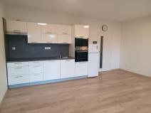 Pronájem bytu 1+kk, České Budějovice - České Budějovice 2, O. Nedbala, 41 m2