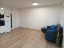 Pronájem bytu 1+kk, České Budějovice - České Budějovice 2, O. Nedbala, 41 m2