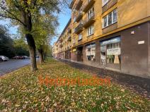 Pronájem bytu 3+1, Karviná - Nové Město, Čapkova, 74 m2