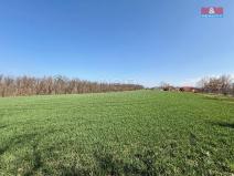 Prodej pole, Číčovice, 1598 m2