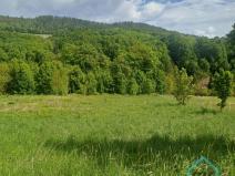 Prodej pozemku pro bydlení, Hošťálkovy - Vraclávek, 1494 m2