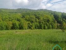 Prodej pozemku pro bydlení, Hošťálkovy - Vraclávek, 1494 m2