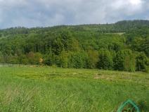 Prodej pozemku pro bydlení, Hošťálkovy - Vraclávek, 1494 m2