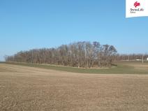 Prodej pozemku pro bydlení, Hrušovany nad Jevišovkou, 4538 m2