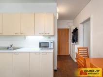 Prodej bytu 1+1, Bílovice nad Svitavou, 35 m2