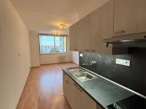 Pronájem bytu 1+kk, Veselí nad Moravou, Chaloupky, 27 m2