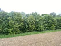 Prodej pozemku, Podolí, 380 m2