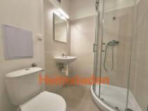 Pronájem bytu 1+kk, Havířov - Město, Hlavní třída, 21 m2