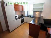 Pronájem bytu 2+kk, Plzeň, Znojemská, 56 m2
