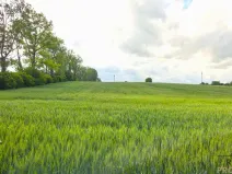 Prodej pole, Kyjov, 2649 m2