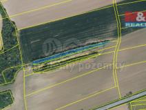 Prodej lesa, Kočí, 5803 m2