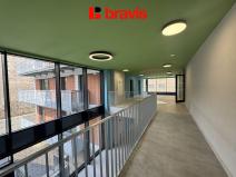 Prodej bytu 2+kk, Brno, Auerswaldova, 49 m2
