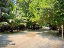 Prodej rodinného domu, Coxen Hole, Roatán, Honduras, 1022 m2