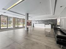 Pronájem kanceláře, Praha - Holešovice, U garáží, 1991 m2