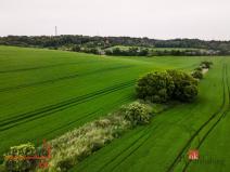 Prodej pole, Prostějov - Držovice, 12510 m2