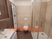 Pronájem bytu 1+kk, Plzeň - Jižní Předměstí, Magisterská, 30 m2