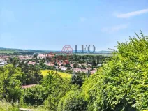 Prodej zahrady, Slavkov u Brna, Palackého náměstí, 595 m2