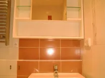 Pronájem bytu 1+kk, Praha - Hodkovičky, Pod lysinami, 30 m2