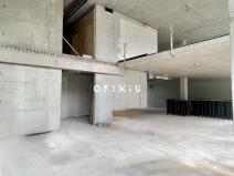 Pronájem obchodního prostoru, Brno, Nové sady, 160 m2