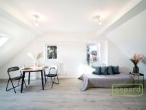 Pronájem bytu 1+kk, Liberec, Generála Svobody, 27 m2
