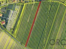 Prodej pole, Dubňany, 1253 m2