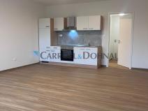 Pronájem bytu 1+kk, Ostrava - Slezská Ostrava, U Hájenky, 39 m2