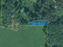 Prodej lesa, Rozvadov - Nové Domky, 5912 m2