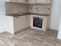 Pronájem bytu 1+kk, Ostrava, Průkopnická, 32 m2