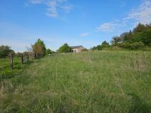 Prodej zahrady, Kalivody, 3906 m2