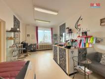 Prodej obchodního prostoru, Čelákovice, Stankovského, 487 m2