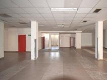 Pronájem obchodního prostoru, Plzeň - Lobzy, Sousedská, 350 m2