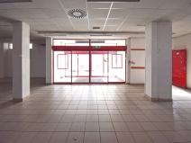 Pronájem obchodního prostoru, Plzeň - Lobzy, Sousedská, 1250 m2