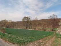 Prodej louky, Jičíněves, 20868 m2