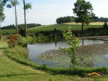 Prodej zemědělské usedlosti, Dehtáře - Onšovice, 456 m2