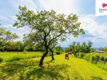 Prodej komerčního pozemku, Židlochovice, 3876 m2