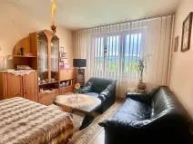 Prodej bytu 1+1, Sokolov, Gagarinova, 35 m2