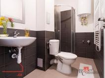 Prodej bytu 1+kk, Ostrava - Přívoz, Palackého, 31 m2