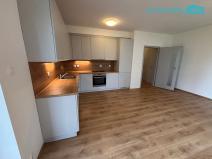 Prodej bytu 2+kk, Heřmanova Huť, U Pondu, 60 m2
