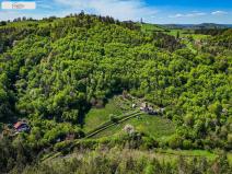 Prodej lesa, Milešov - Přední Chlum, 54900 m2