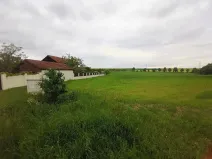 Dražba pole, Černošice, 1053 m2