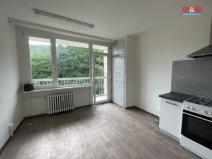 Prodej bytu 1+1, Ústí nad Labem - Střekov, Tolstého, 45 m2