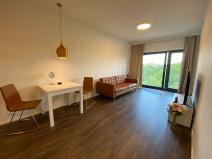 Pronájem bytu 2+kk, Brno, Lidická, 55 m2