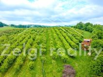 Prodej sadu/vinice, Polom, 9760 m2