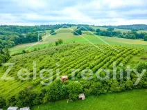Prodej sadu/vinice, Polom, 9760 m2